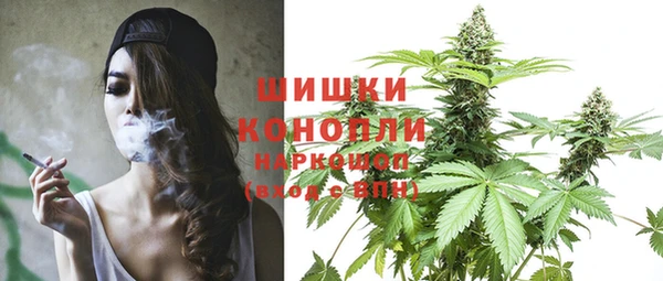 дмт Арсеньев