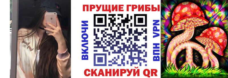 мега ссылка Бавлы Галлюциногенные грибы Psilocybine cubensis